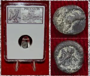 Ñ̃RC PHENICIA TIRE CJƃtNE Vo[ 1/12 VFP