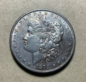 1878 S USA �����K�� �_���[ - ��� - �n�C�O���[�h