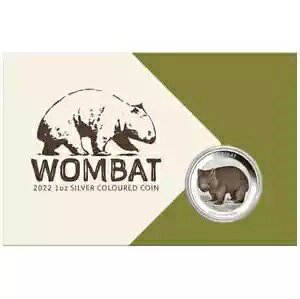 2022 I[XgA EHobg 1 IX 9999 Vo[ J[ J[ 1 h BU-