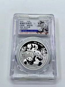 CSIS 2025 30gi30Ojp_RCi񔭍sj