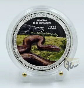 RS 2023 - eB^m{A - j̐ - 1IX J[ŋ