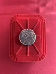 ɌÂÑネ[}̐̉̔nԂɏRC