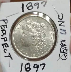 1897 K Vo[ _[ ̃RC͔ɔ̂ŉ͂܂