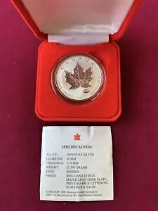 2000 Ji_ $5 Vo[ [v [tAGLX| 2000 nm[o[ vCx[g }[N + {bNX & ؖt