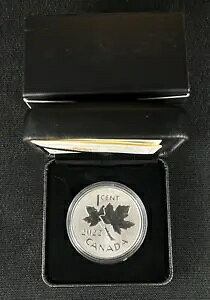 2022 1 Zg - yj[ւ̕ʂ