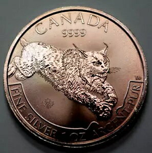 2017 $5 Ji_ 1 IX 9999 Vo[ II}lR쐶vf^[ V[Y RC i` g[jO