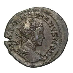 kA AgjjAkX XgCN G[ Ñネ[}̃RC  282 N