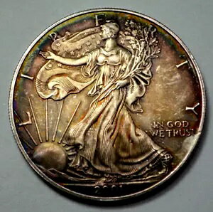 2001 AJ Vo[ C[O 1 IX 999 Vo[ RC Eh i` A g[jO!