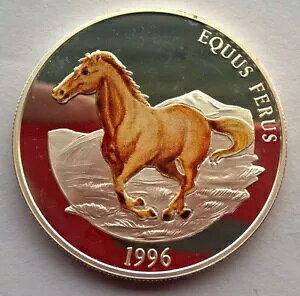 S 1996 Ch z[X 500 gDOO݁Av[t