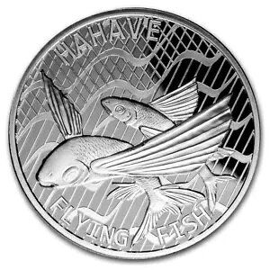 1�I���X 2020 �V���o�[ �g�P���E FLYING FISH - �t���C�t�B�b�V�� 1 �I���X �V���o�[ �R�C���������Ă��܂�-