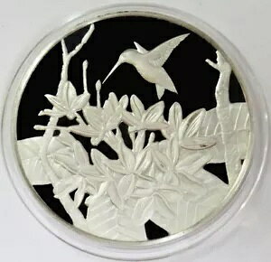 1999 Vo[ ^[NXJCRX 20 NE n~Oo[h v[t RC JvZ