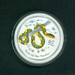 2013 N $1 1 h̎ 1 IXJ[ꂽVo[RC I[XgA