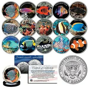 SALT WATER FISH �����ك^���N �P�l�f�B �n�[�t�_���[ �č��R���v���[�g 15 �R�C�� �Z�b�g COA