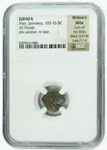 �E�B�h�E�Y �_�j �Ñ�R�C�� NGC �F�� ���σO���[�h ���_�� �v���^ (�I���O 103 �` 76 �N)