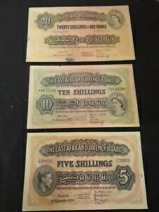 3 ���A�t���J�ʉ݃{�[�h $20�A1955 $10�A1955 $5 1950 �V�����O�̃��b�g