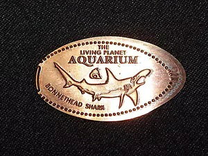 Be[W גyY yj[ rO vlbg ANAE {[wbhV[N