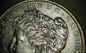 1883 O [K Vo[ _[ US RC j[I[Y-BU _[NC{[g[