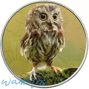 킢ԂtNE AJ Vo[ C[O 1IX 0.999  Vo[ _[ RC