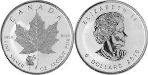 2016 Vo[ [v [t p_ vCx[g V[ OGP 2 RC󂯎܂!