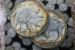 obt@[ jbPX 1913-1938AH.E. ̕X^[^[ ZbgnXtH_[A33RC