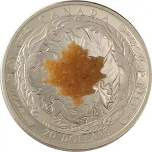 2016 Ji_ $20 ㎿ - hD[V[ Xg[t̗YȃJGf̗t