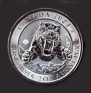 2023 Ji_ ZCo[gD[X ^CK[ RCA2 IXBU rj[tbvA