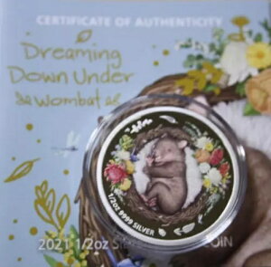 I[XgA 50 Zg 2021 Vo[ 1/2 IX F7037 EHobg̉Ńh[~O _E-