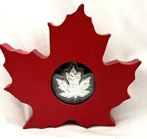 2015 $20 ㎿ - Ji_̃[v[tAfBXvCA{bNXACOA t