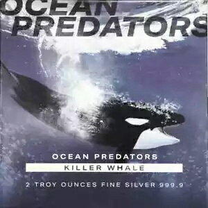 2022 I[V vf^[Y V` 2 IX .999 t@C Vo[ PAMP RC XCX