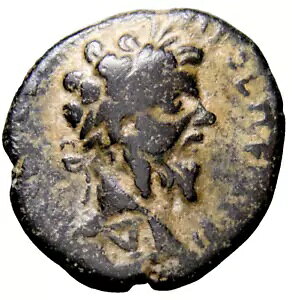 JE^[}[NȂ̔ɒIC fJ|X ZveB~EX [} RC wCOA