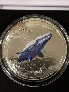 1 IX Vo[ 2023 EC8 ZgrZgуOifB[UgENW J[ LOT#464