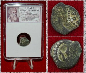 Ñ̃RC _ wf傢Ȃd GT  v^