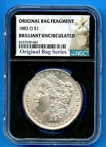 1883 O NGC K h Vo[ čǖ BU RCobO̔j 1883-O