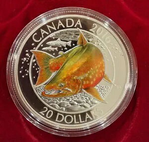 2016 Ji_ RC $20 1 IX .9999  - Ji_̃TP - kɃCi