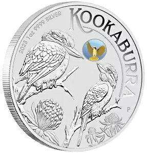 2023 ANDA { GLX| NbJo 1IX $1 Vo[ RC wbgtnj[C[^[ PRIVY