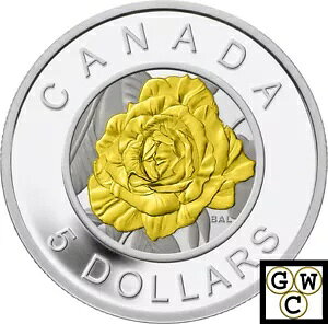 2014 Ji_̃ỏ jIuCT[gtv[t 5 h (14046)