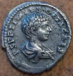 ���[�} �R�C�� �V���o�[ �f�i���E�X�̏��N����̉��� �V�[�U�[ �}���e�B �r�N�g�[�� ���o�[�X MY#2.12