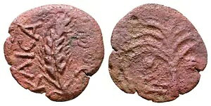 [}̑Bv^ - GT _  9 ` 12 N - CGX̐U