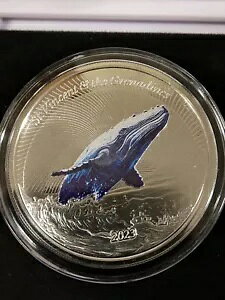 1 IX Vo[ 2023 EC8 ZgrZgуOifB[UgENW J[ LOT#464