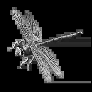 2024 �J�����[�� 3D �g���{ 7 �O���� �V���o�[ �V�F�C�v �v���[�t �R�C��