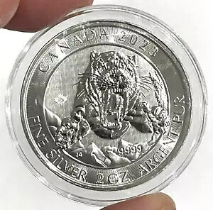 2023 Vo[ 2 IX Ji_ $10 ZCo[gD[X ^CK[ .9999 t@C RC C ~g JvZ