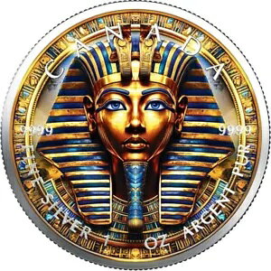 2024 Ji_ J[ RC ÑGWvg c^J[ (1st) 1 IX Vo[ - J[ GfBV-