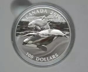 2016 C Ji_ IJ 1IX Vo[ v[t RC 100 h OGP