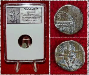 ÑRC T}A K[ Ƌ|t Vo[ w~I{ ARC!