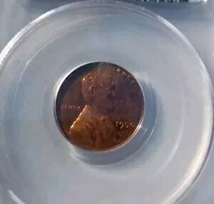 1950 PCGS PR63 RED CENT J[ EB[g yj[ ˃t[ |Xg