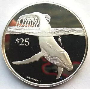 p@[W 1993 UgENW 25 h݁Av[t