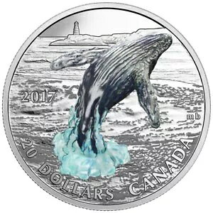 2017 Ji_ $20 v[t t@C Vo[ RC u[`O NW (3D vft)