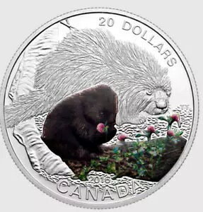 2016 Ji_ Baby Animals PORCUPINE 1 IX .999 Vo[ v[t RC