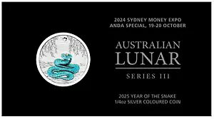 2024/2025 Vhj[ }l[ GLX|AXyV C[ Iu U Xl[N 1/4 IX Vo[ RC