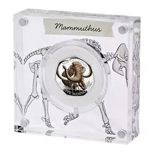 2024 ACXGCW Xebv }X J[ 50p Vo[ v[t C ~g {bNX COA